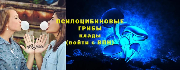 спиды Киреевск