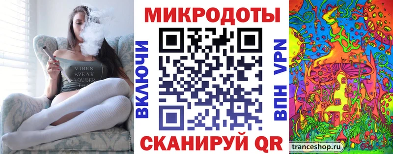 Купить где Камышин Псилоцибиновые грибы GOLDEN TEACHER
